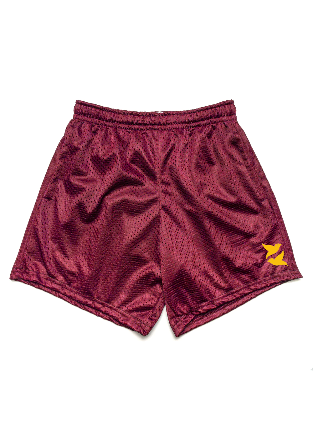 Embroidered Mesh Shorts