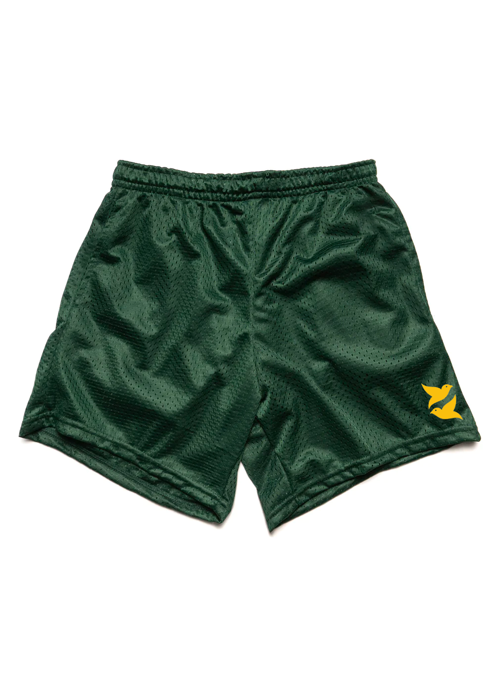Embroidered Mesh Shorts